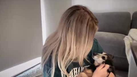 Snapshot of tigoldbitties11 chatting on February 20, 2026, 1:57 am Lexi online show from February 20, 2026, 1:57 am