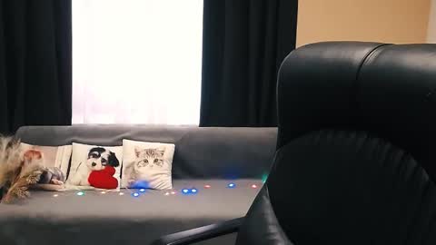 Snapshot of timeparadice chatting on November 14, 2025, 8:46 am Luisa online show from November 14, 2025, 8:46 am