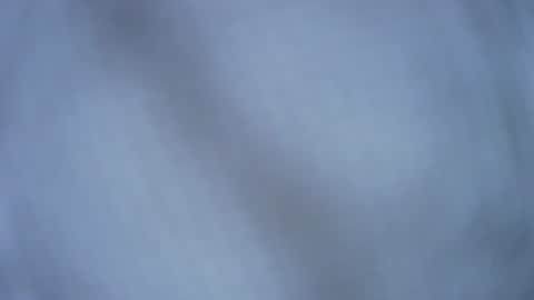 Snapshot of timgrower chatting on May 7, 2026, 7:08 pm Tim Grower online show from May 7, 2026, 7:08 pm