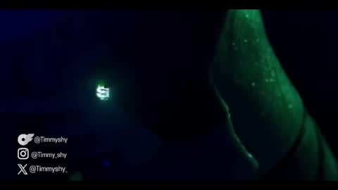 Snapshot of timmyshy chatting on January 17, 2026, 10:02 pm timmyshy online show from January 17, 2026, 10:02 pm