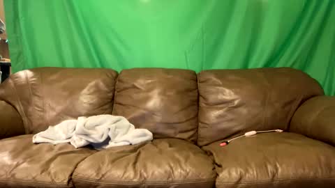 tjfemboi5641 online show from October 23, 2025, 10:36 am