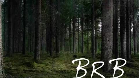 Tim online show from November 2, 2025, 7:16 pm