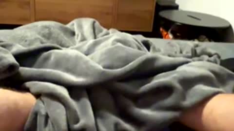 Snapshot of tmue chatting on February 20, 2026, 2:17 pm tmue online show from February 20, 2026, 2:17 pm