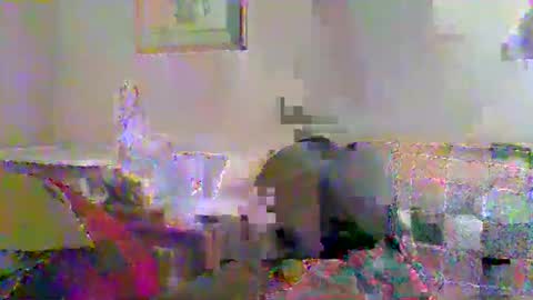 Vols online show from November 23, 2025, 12:54 am