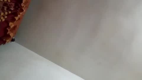 Snapshot of tobe557337 chatting on January 31, 2025, 8:43 am tobe557337 online show from January 31, 2025, 8:43 am