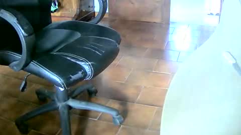 Snapshot of tobikoyuzu chatting on December 20, 2025, 2:24 pm Tobiko online show from December 20, 2025, 2:24 pm