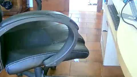 Snapshot of tobikoyuzu chatting on February 17, 2026, 3:29 pm Tobiko online show from February 17, 2026, 3:29 pm