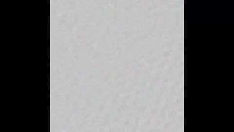 Snapshot of tom3336661984 chatting on December 8, 2024, 6:11 am Ymmot online show from December 8, 2024, 6:11 am