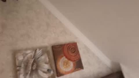 tom4445t online show from September 18, 2025, 3:08 am