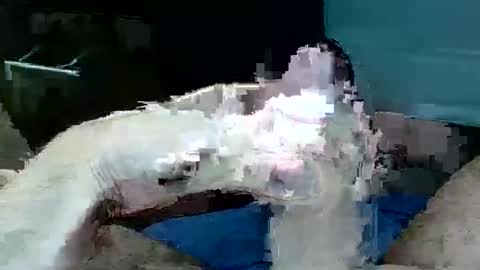 tom4yourself online show from May 29, 2026, 6:17 pm