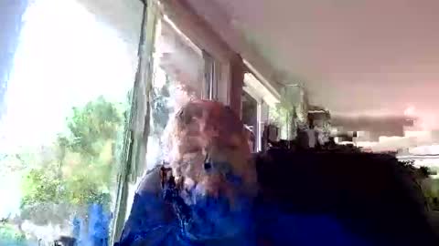 Snapshot of tommyknocker1 chatting on October 19, 2025, 4:40 pm tommyknocker1 online show from October 19, 2025, 4:40 pm