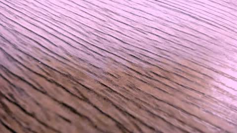 toshi_dakxxx online show from April 2, 2026, 1:31 pm