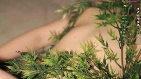 Toshi online show from January 12, 2025, 1:05 pm