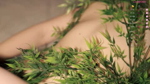 Toshi online show from September 17, 2025, 1:02 pm