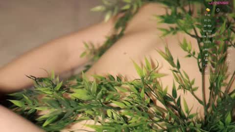 Toshi online show from November 3, 2025, 1:01 pm