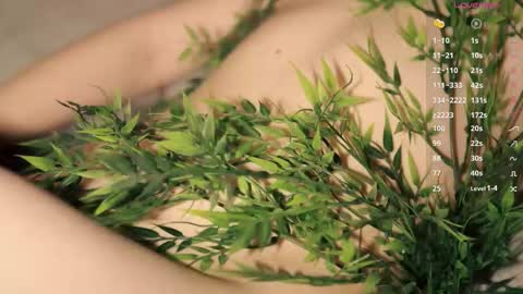 Toshi online show from December 17, 2025, 1:06 pm