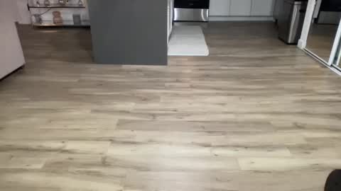 Snapshot of toskisha16 chatting on February 8, 2025, 4:36 am ASH online show from February 8, 2025, 4:36 am