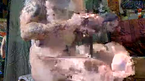 Snapshot of touchofclass90 chatting on March 10, 2025, 10:48 am touchofclass90 online show from March 10, 2025, 10:48 am