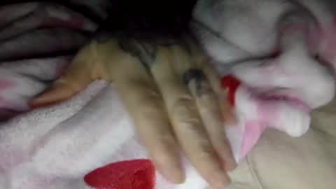 Snapshot of toxicanikki chatting on January 8, 2026, 8:05 am toxicanikki online show from January 8, 2026, 8:05 am