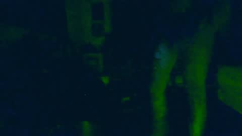 Snapshot of toxicidad_sex chatting on June 4, 2026, 9:48 am toxicidad_sex online show from June 4, 2026, 9:48 am