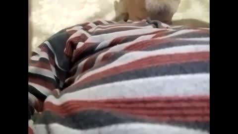 tra649167 online show from February 9, 2025, 8:02 pm