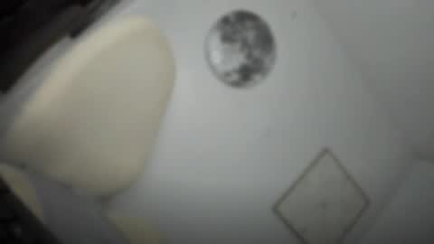Snapshot of transnextdoor_ chatting on March 26, 2026, 5:29 pm ALMIGHTY GODDESS VALENTINA online show from March 26, 2026, 5:29 pm