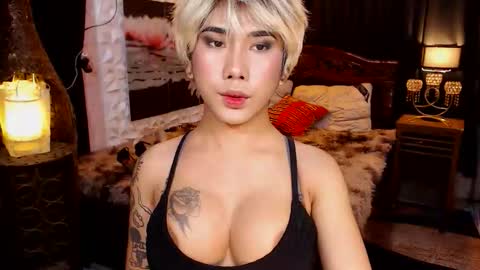 Snapshot of transpornidol chatting on February 13, 2026, 7:10 pm transpornidol online show from February 13, 2026, 7:10 pm