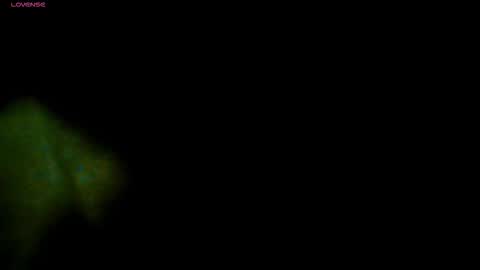 TRAVIS. online show from November 13, 2025, 7:13 pm