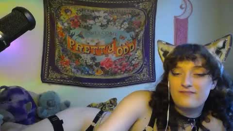 Snapshot of treecups chatting on September 23, 2025, 9:18 pm treecups online show from September 23, 2025, 9:18 pm