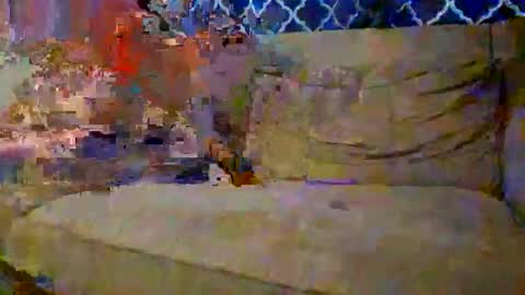 Snapshot of trex23rd chatting on December 2, 2025, 9:54 pm trex23rd online show from December 2, 2025, 9:54 pm