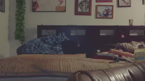 Trina Tushy Deluxe online show from March 9, 2025, 6:28 am