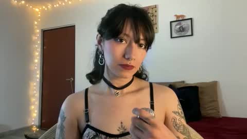 Snapshot of trinitysecrets chatting on March 3, 2026, 7:53 pm trinitysecrets online show from March 3, 2026, 7:53 pm