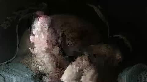 Snapshot of triponsex chatting on March 24, 2026, 9:42 pm triponsex online show from March 24, 2026, 9:42 pm