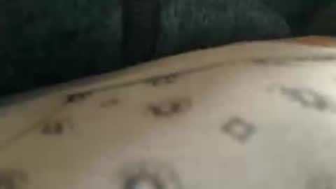 Snapshot of trobelle chatting on November 25, 2025, 10:37 am trobelle online show from November 25, 2025, 10:37 am