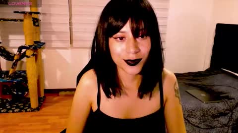 Cait online show from November 29, 2025, 7:22 am