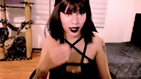 Snapshot of tryp666 chatting on December 20, 2025, 4:41 am Cait online show from December 20, 2025, 4:41 am