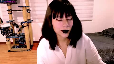 Snapshot of tryp666 chatting on January 13, 2026, 3:34 am Cait online show from January 13, 2026, 3:34 am