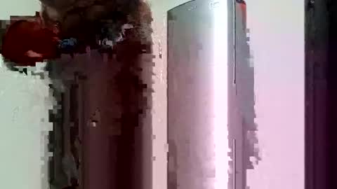 ts_herrera online show from February 2, 2025, 7:57 pm