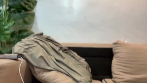 Snapshot of tskendall_collins chatting on September 17, 2025, 7:37 pm kendall online show from September 17, 2025, 7:37 pm