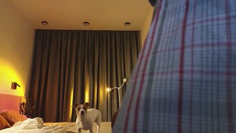 Snapshot of tutti_frutti_ chatting on December 3, 2025, 9:46 pm Ariana online show from December 3, 2025, 9:46 pm