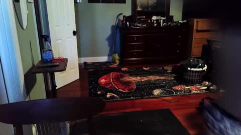 twerkyballs online show from December 22, 2025, 6:38 pm