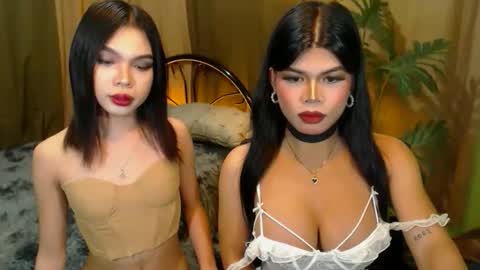 twinktransshanel online show from October 20, 2025, 10:16 am