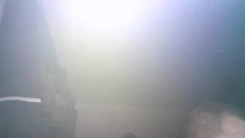 tybursex666 online show from September 26, 2025, 11:42 pm