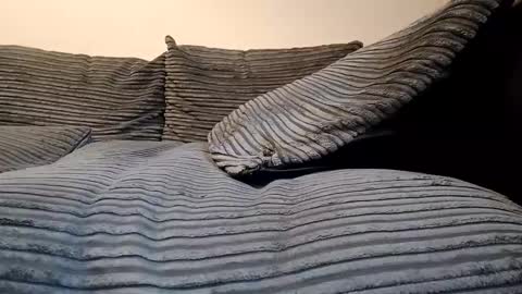 Snapshot of tyson2512 chatting on February 19, 2026, 3:19 pm tyson2512 online show from February 19, 2026, 3:19 pm