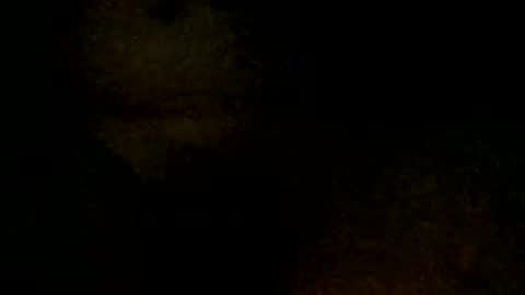 Snapshot of tystickk66 chatting on January 6, 2025, 9:52 am tystickk66 online show from January 6, 2025, 9:52 am