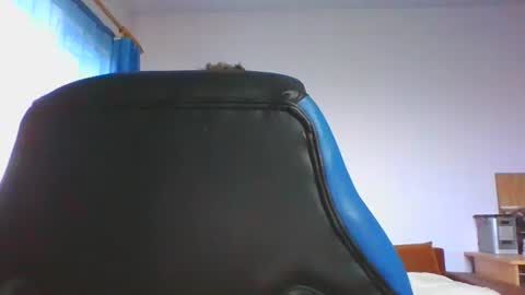 Snapshot of ulmeni4 chatting on December 4, 2025, 6:44 am ulmeni4 online show from December 4, 2025, 6:44 am