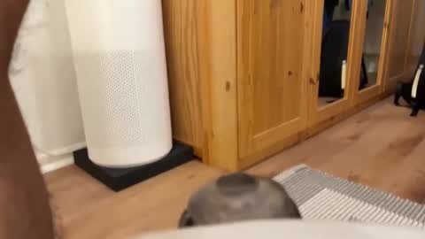 Umberto2015 online show from December 4, 2024, 5:33 pm