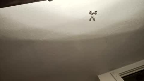 uncut_widda_bigbutt online show from February 3, 2025, 4:14 am