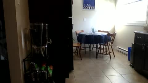 Snapshot of uncutabs123 chatting on February 23, 2026, 8:28 pm Buzz Bigcock online show from February 23, 2026, 8:28 pm