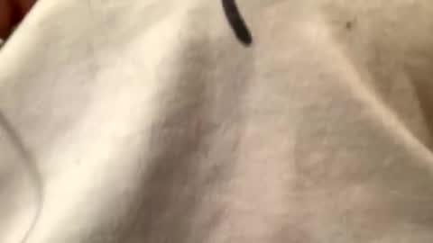 Snapshot of unknownkay chatting on November 1, 2025, 6:37 am unknownkay online show from November 1, 2025, 6:37 am